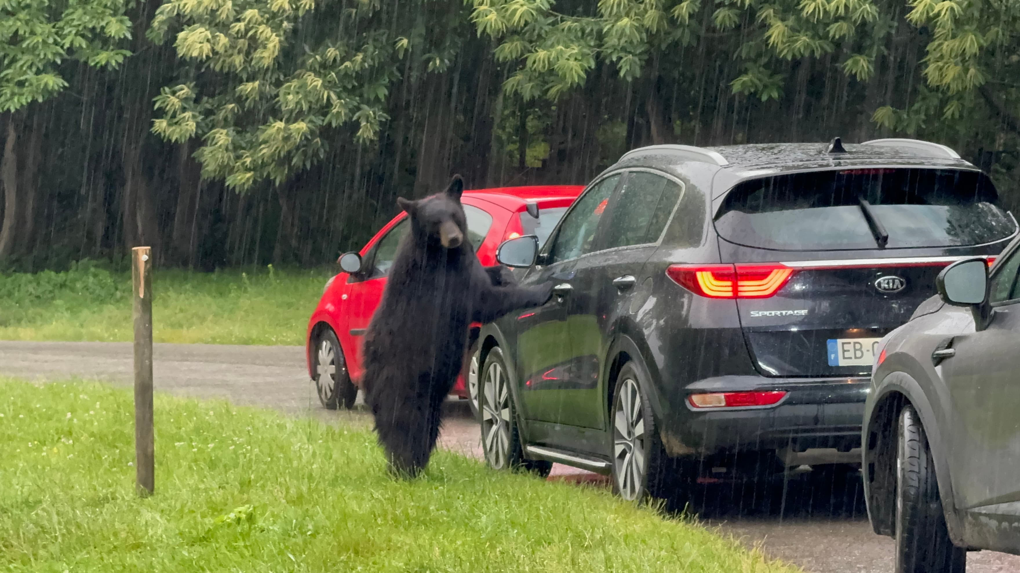 Поездка в сафари парк Туари + Франция в миниатюре-фото